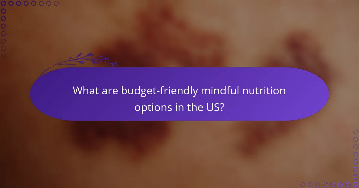 What are budget-friendly mindful nutrition options in the US?