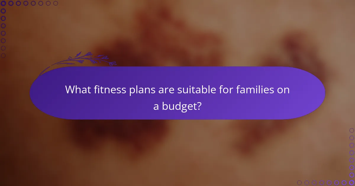 What fitness plans are suitable for families on a budget?